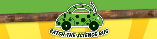 Catch the Science Bug!